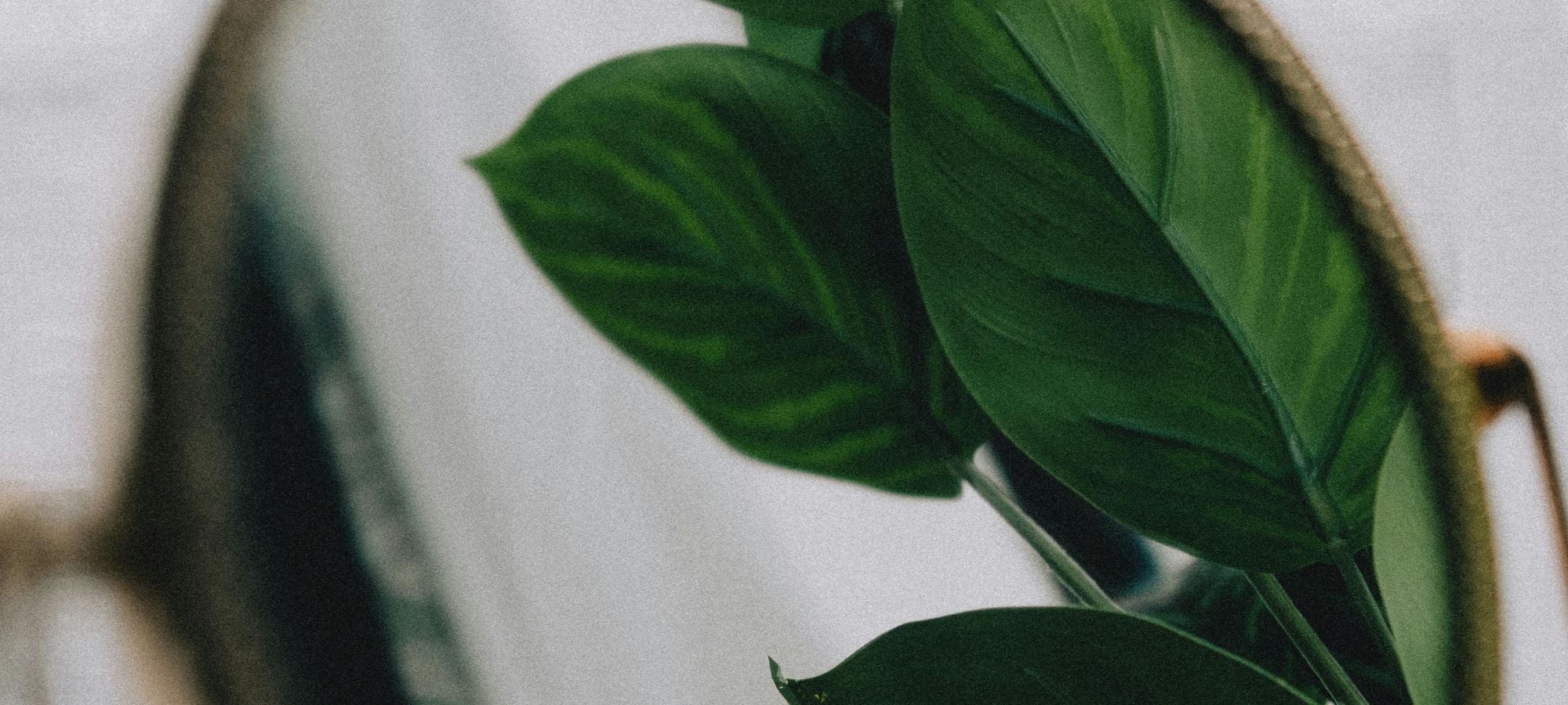 Uusi EU:n viherpesu-direktiivi tulee