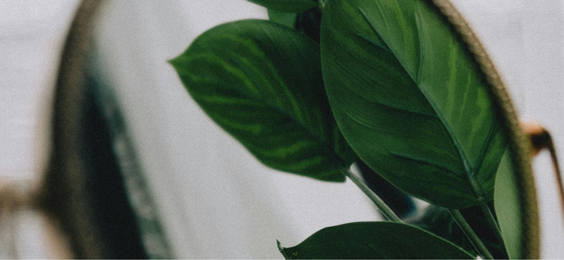 Uusi EU:n &ldquo;viherpesudirektiivi&rdquo; tulee &ndash; mit&auml; se tarkoittaa sinulle kampaamoyritt&auml;j&auml;n&auml;? (4 min read)